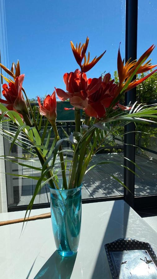 Plumeria Holidays Saint Pierre Bagian luar foto