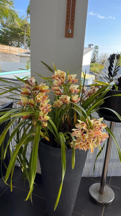 Plumeria Holidays Saint Pierre Bagian luar foto